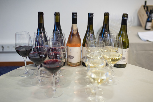 %_tempFileNameDSC_2737%