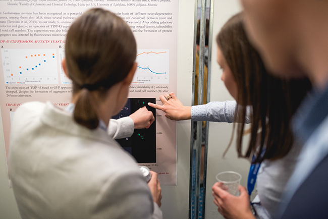 %_tempFileNameDSC_2774%